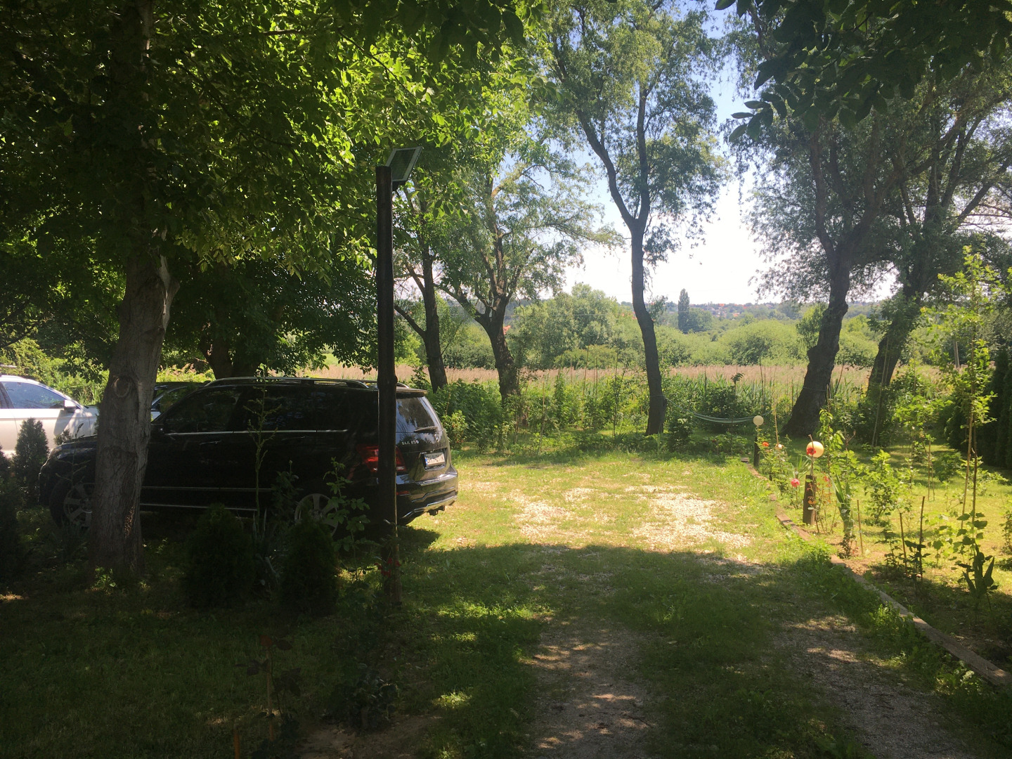 Апартаменты Sunny & Green