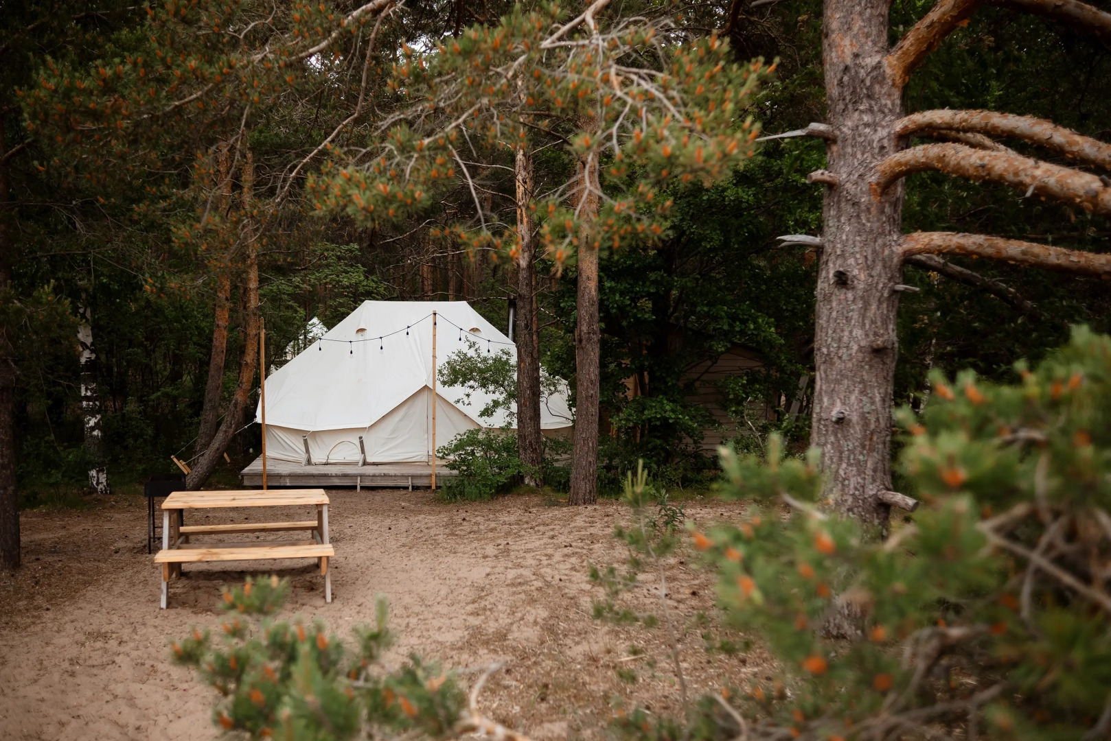 Глэмпинг Майтри кэмп на Финском заливе