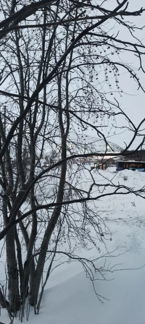 Квартира Уютная у горнолыжного склона