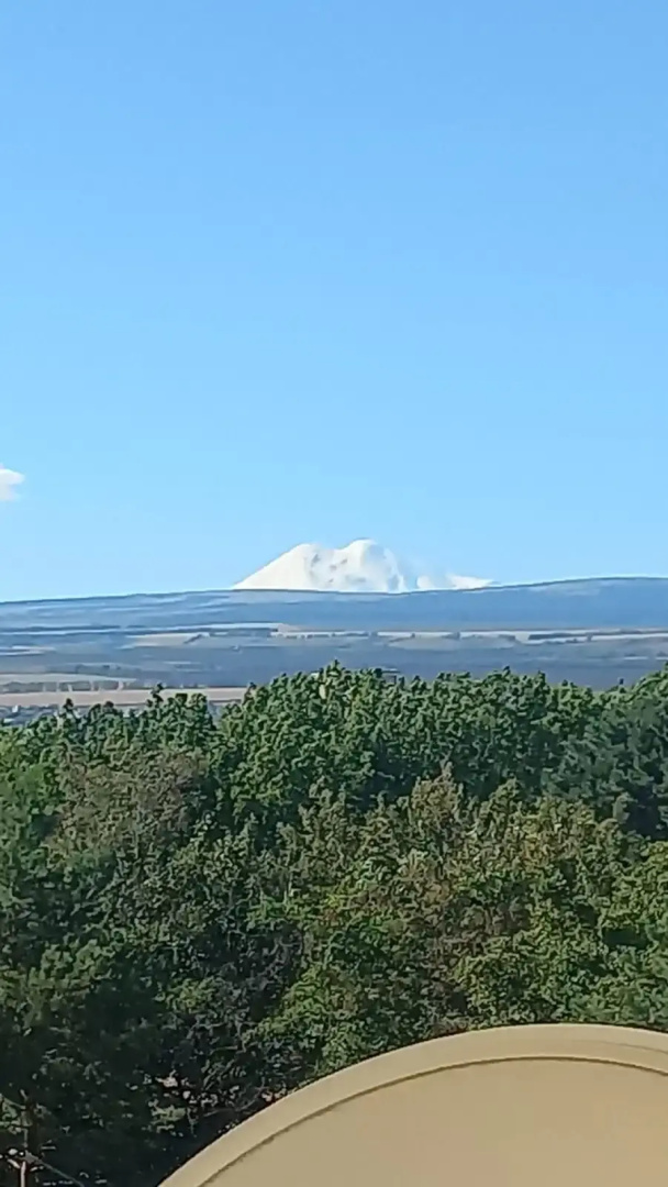 Квартира в курзоне