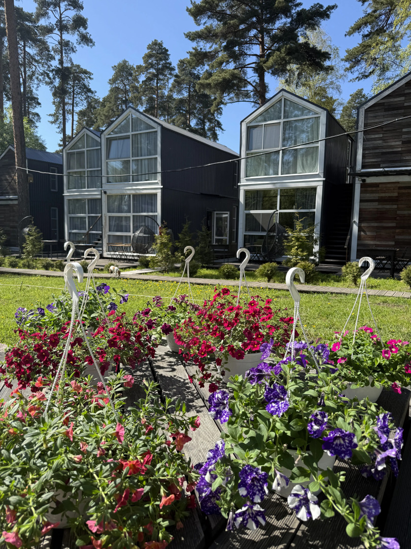 Коттеджи Скворешники