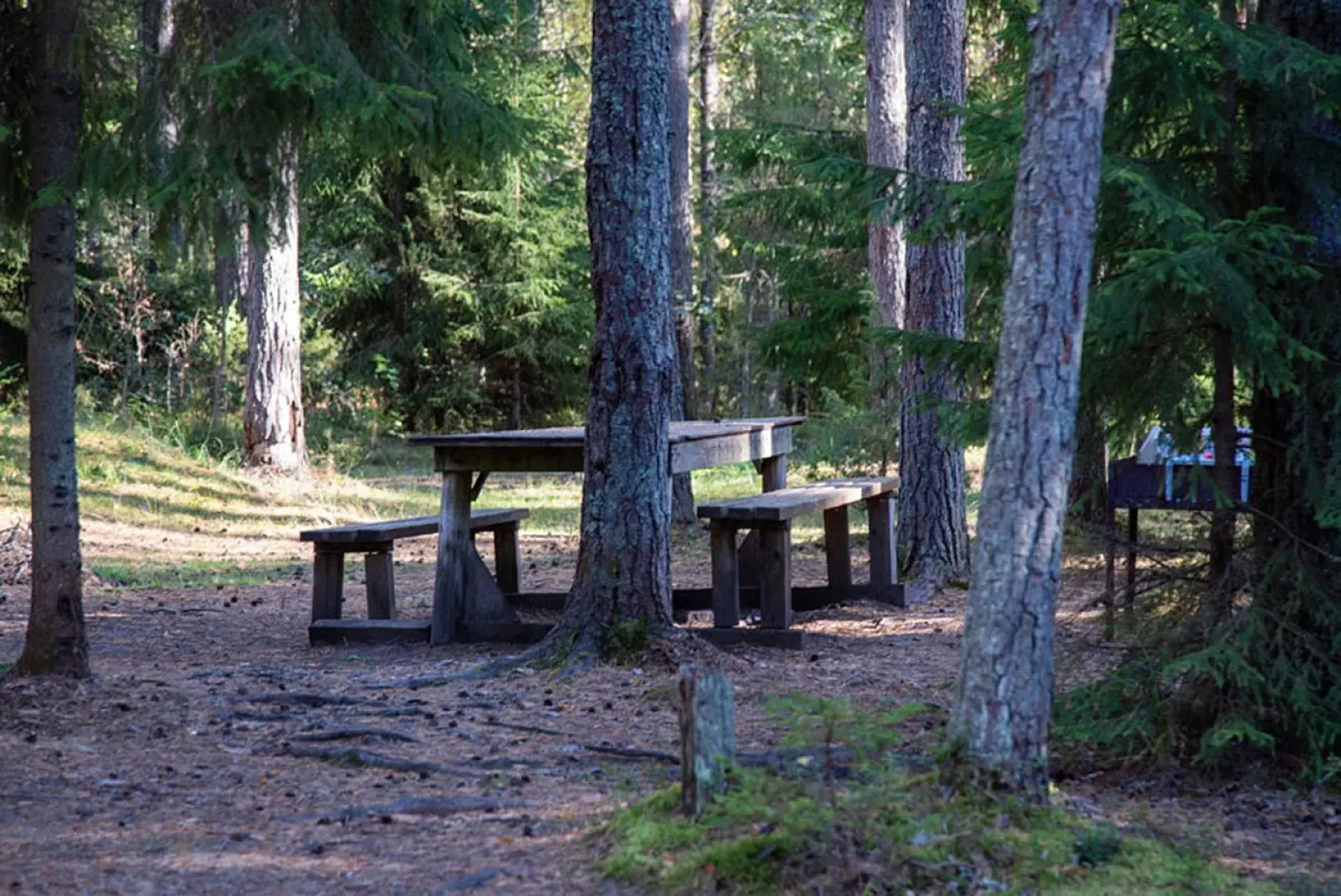 Отель База отдыха Заветное