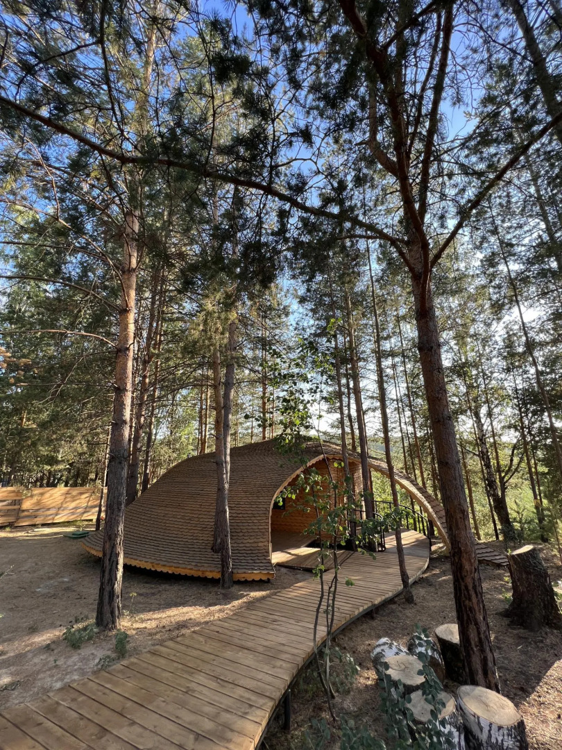 Отель Сорока