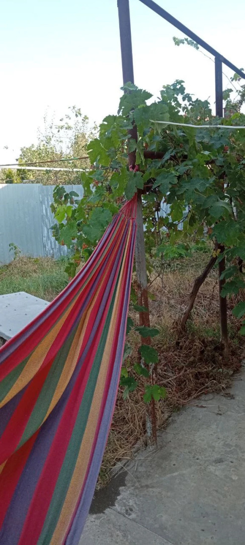 Апартаменты Белинского