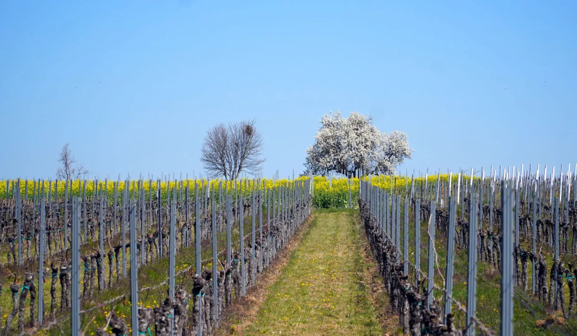 Апарт-Отель Rincón de Piedra BCN