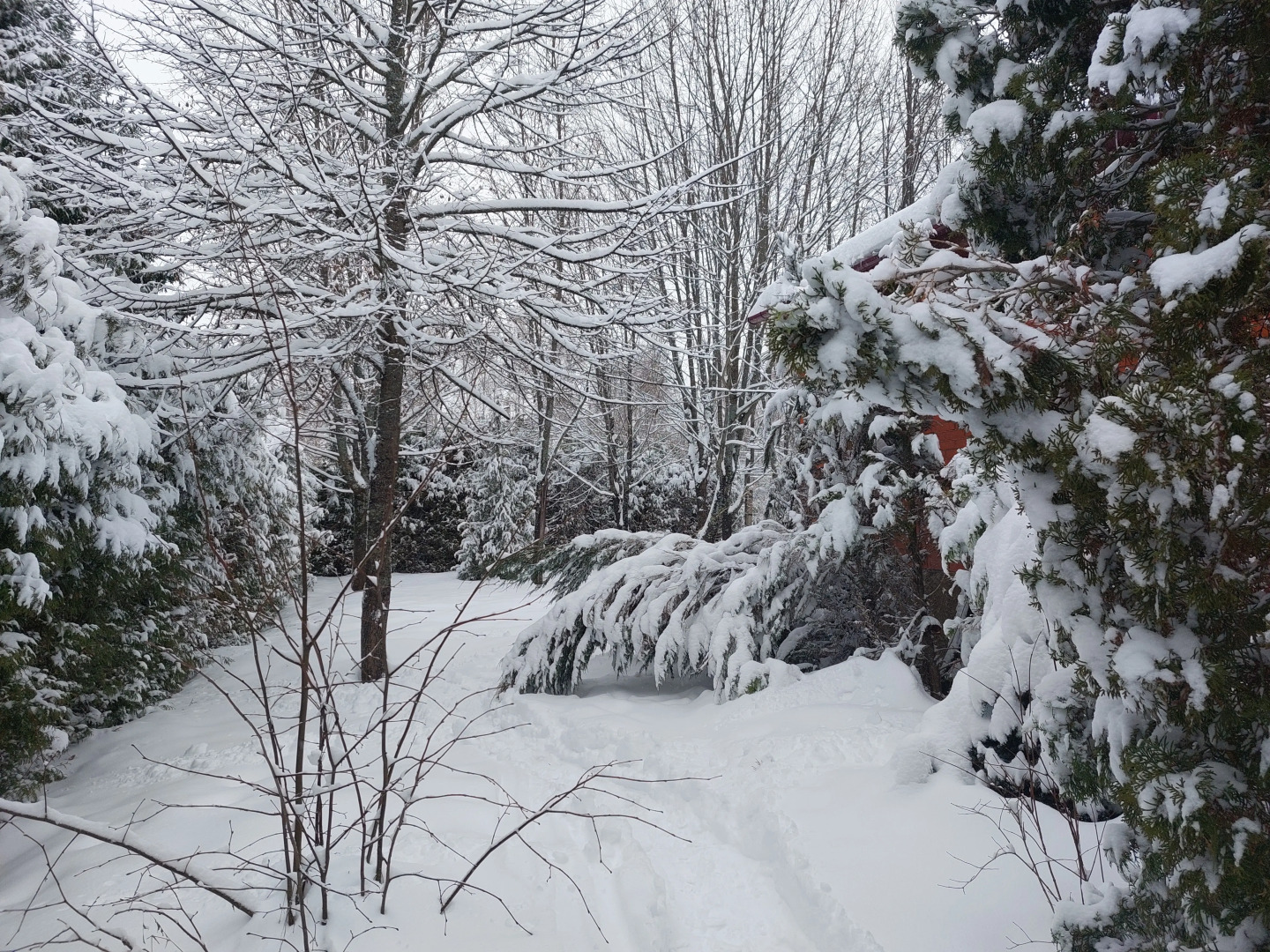 Dlya Dushi I Serdtsa U Mozhayskogo Morya Guest house