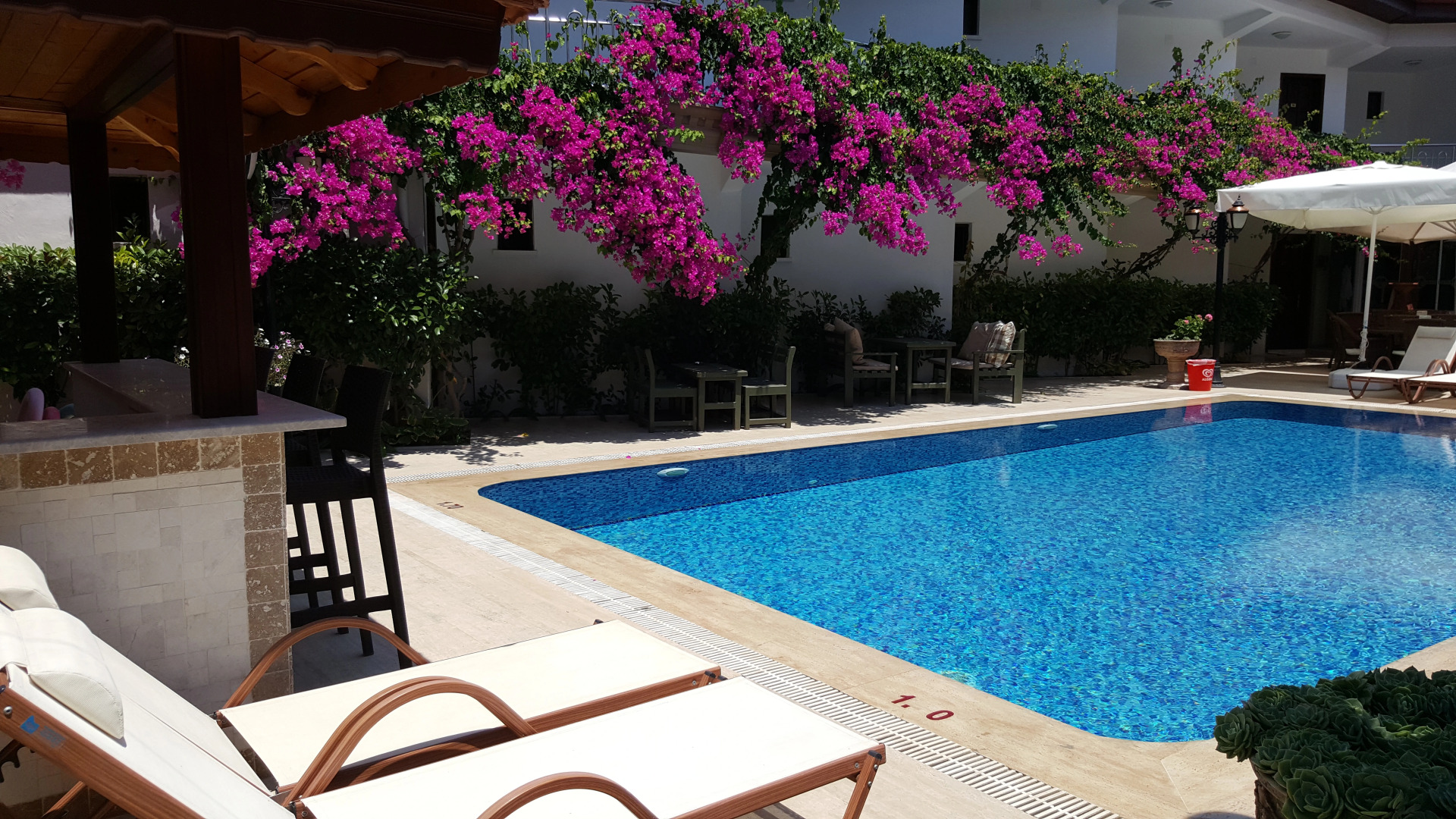 Отель Palme Royal