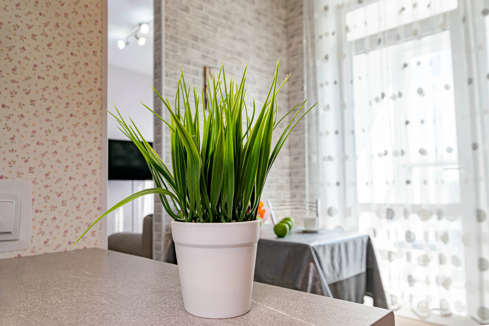 Квартира Однокомнатная на 11 этаже по адресу Малкова 12