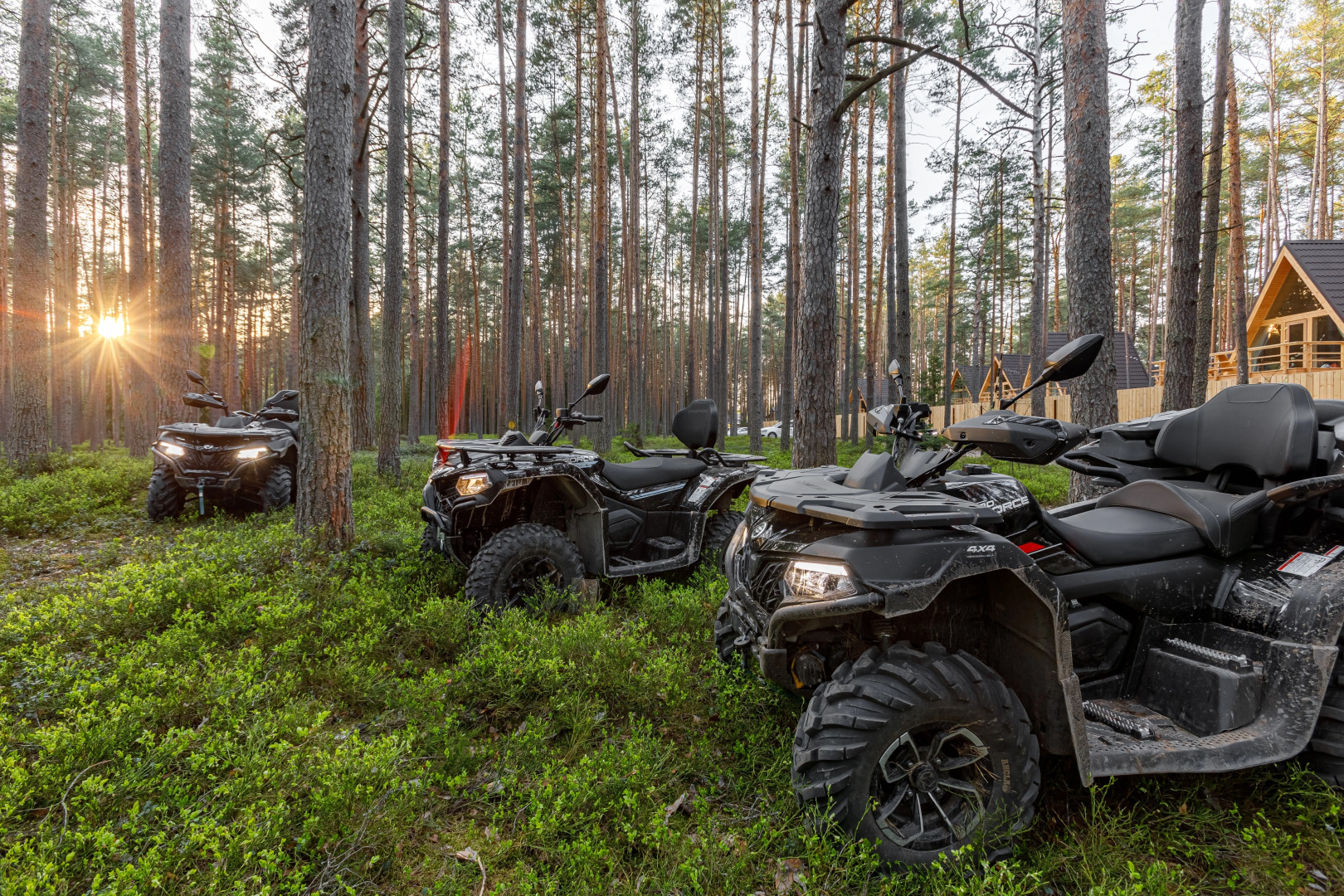 База отдыха Орша Ривер Клаб