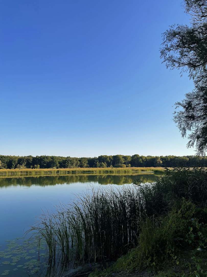 Гостевой дом Романов хутор