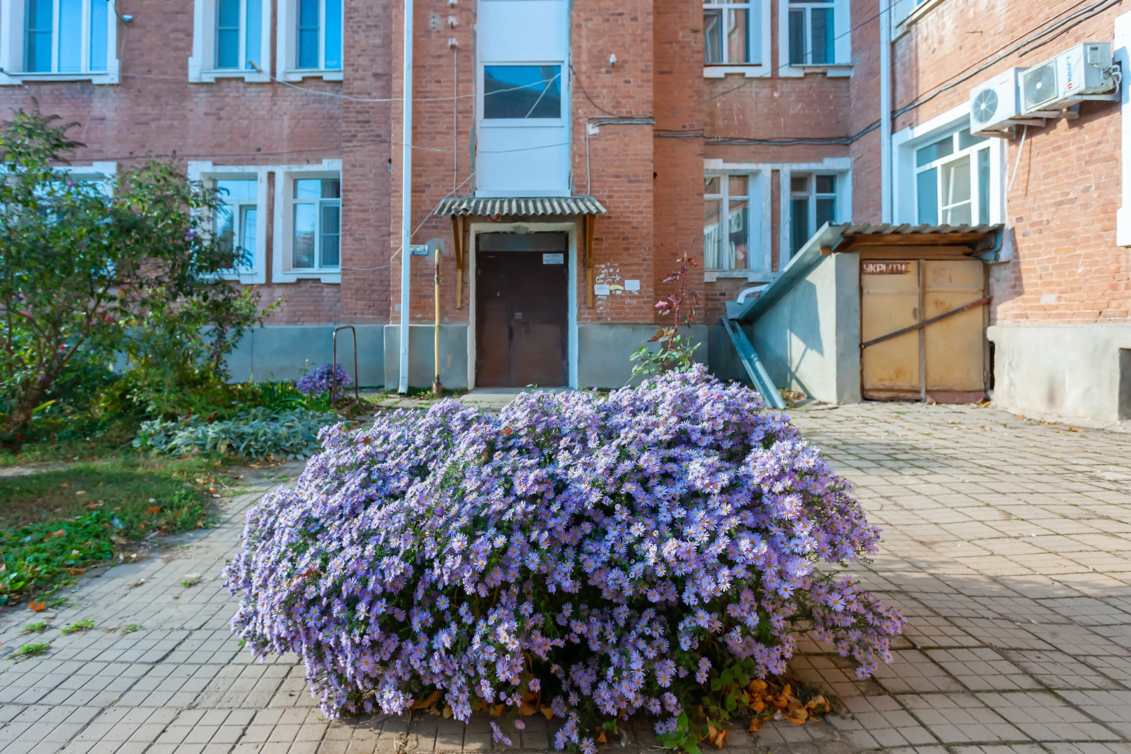 Квартира на Красноармейской 27