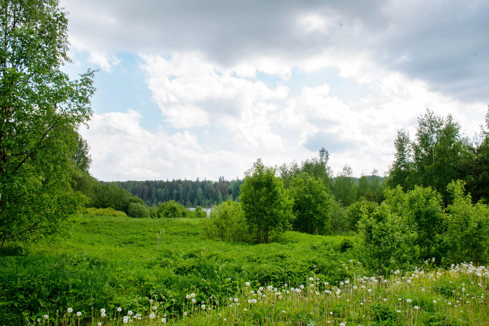 Коттедж Новгородская Деревня