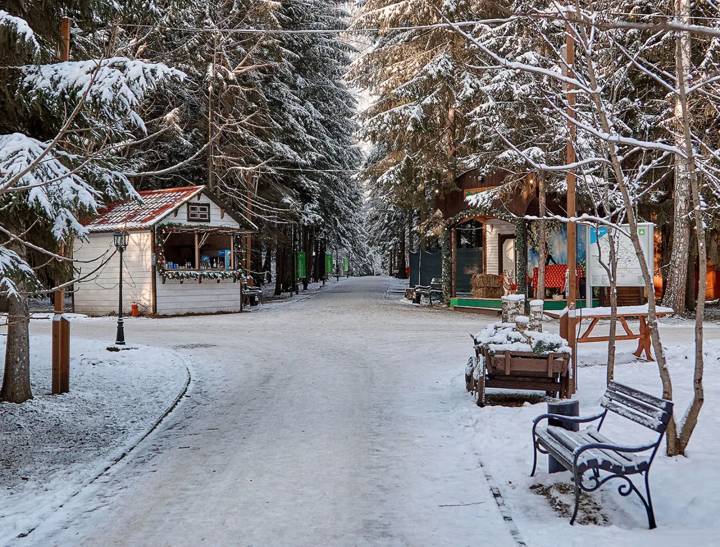 Отель Истра Холидей