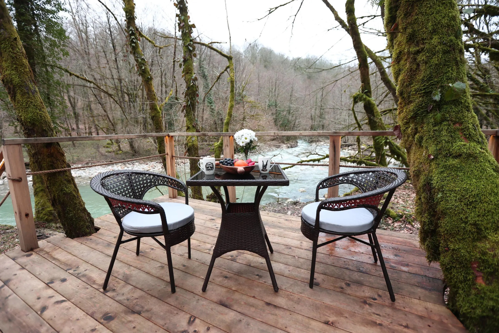 Глэмпинг Енот