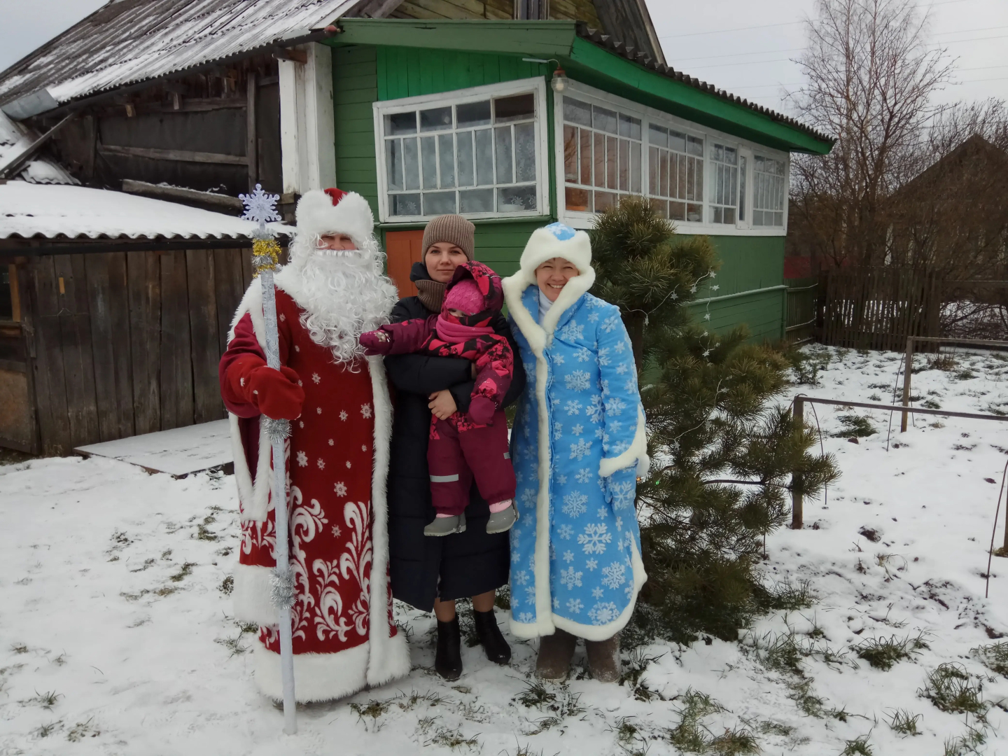 Частный дом в деревне