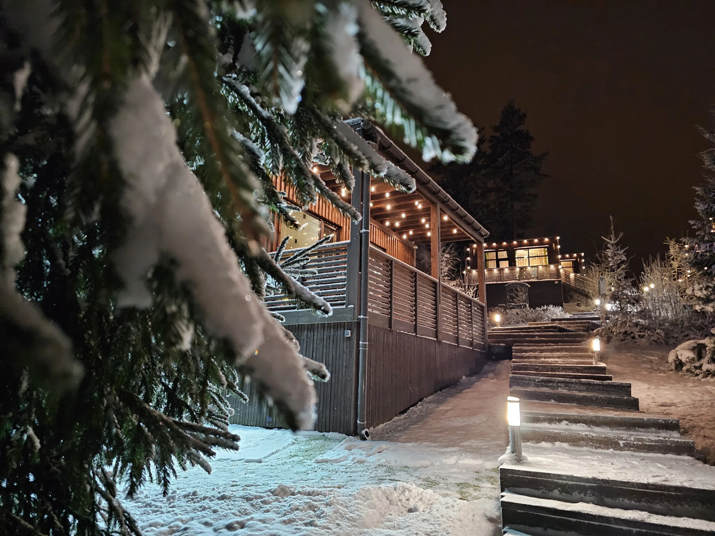 Коттедж Черничный Склон Wood House