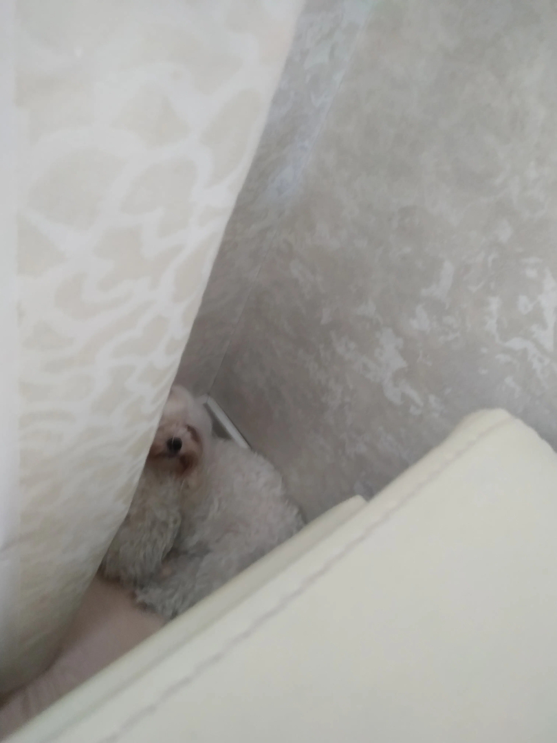 Гостевой дом Nemiga