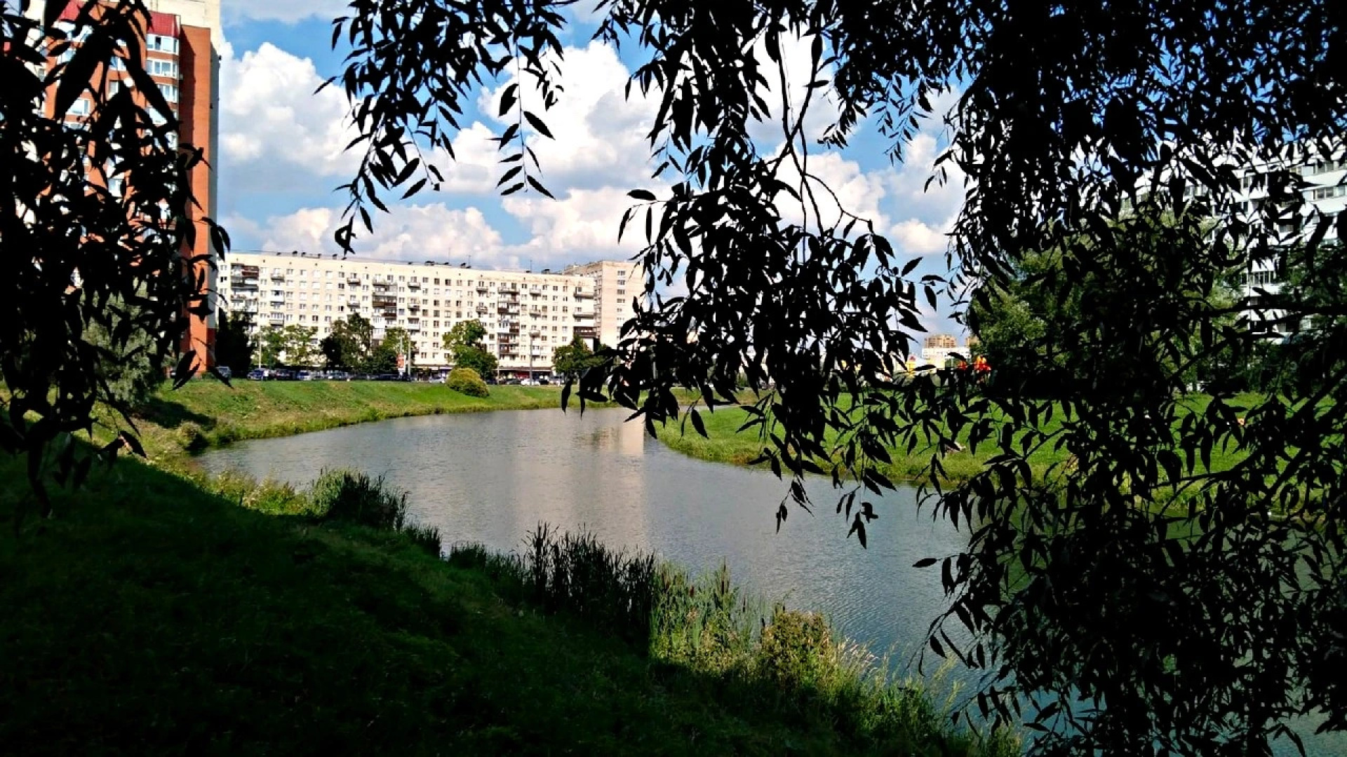 Уютная Квартира рядом с Петергофом проспектом Ветеранов и КАД