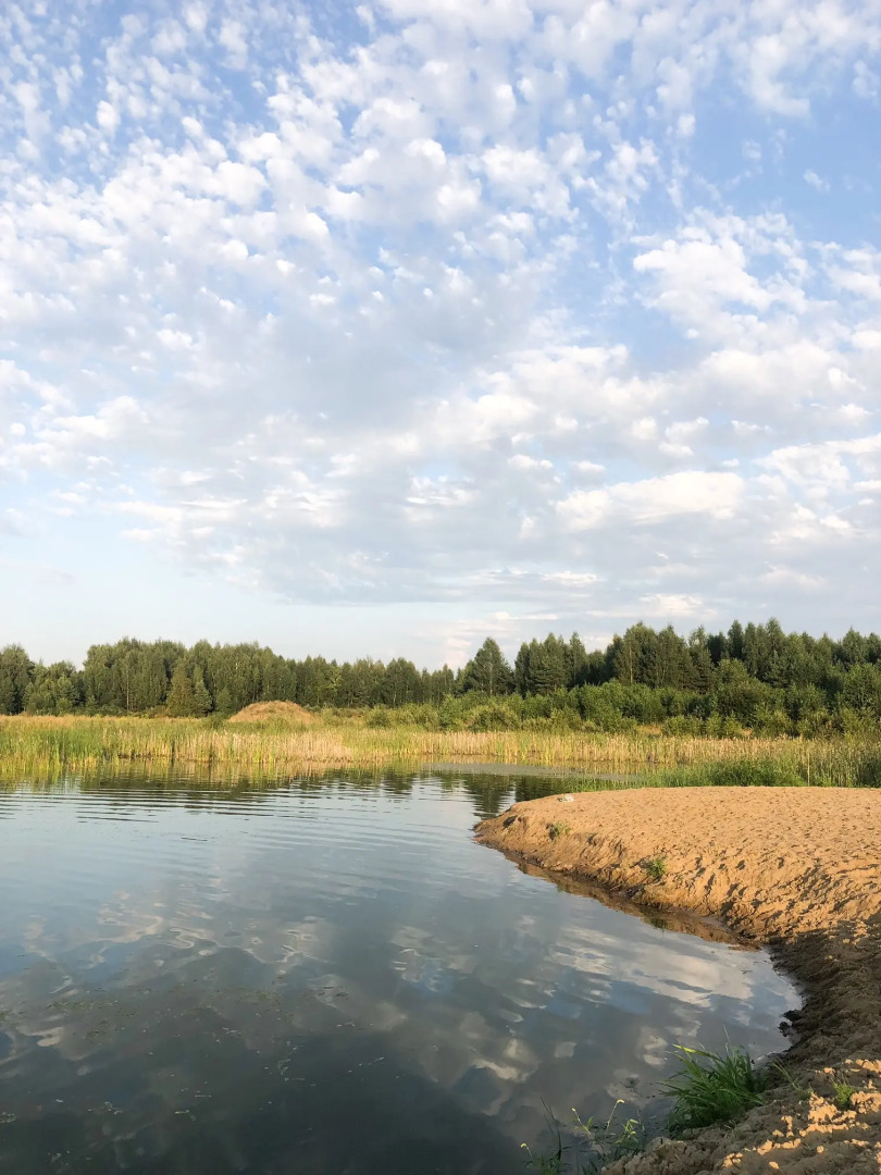 Гостевой дом Дом у леса