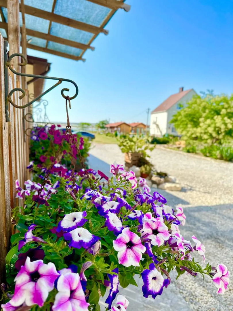 База отдыха Кактус