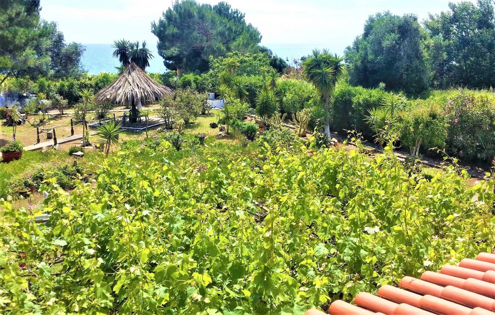 Вилла Tatiana Corfu