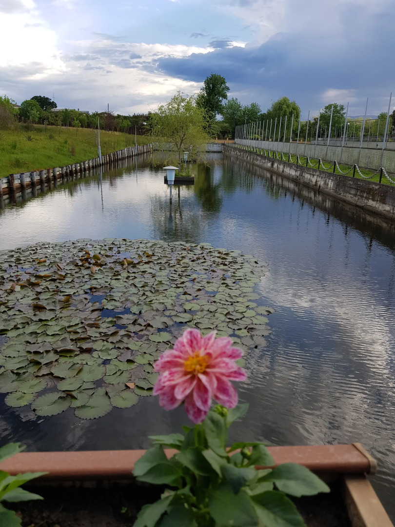 Гостевой дом Милена