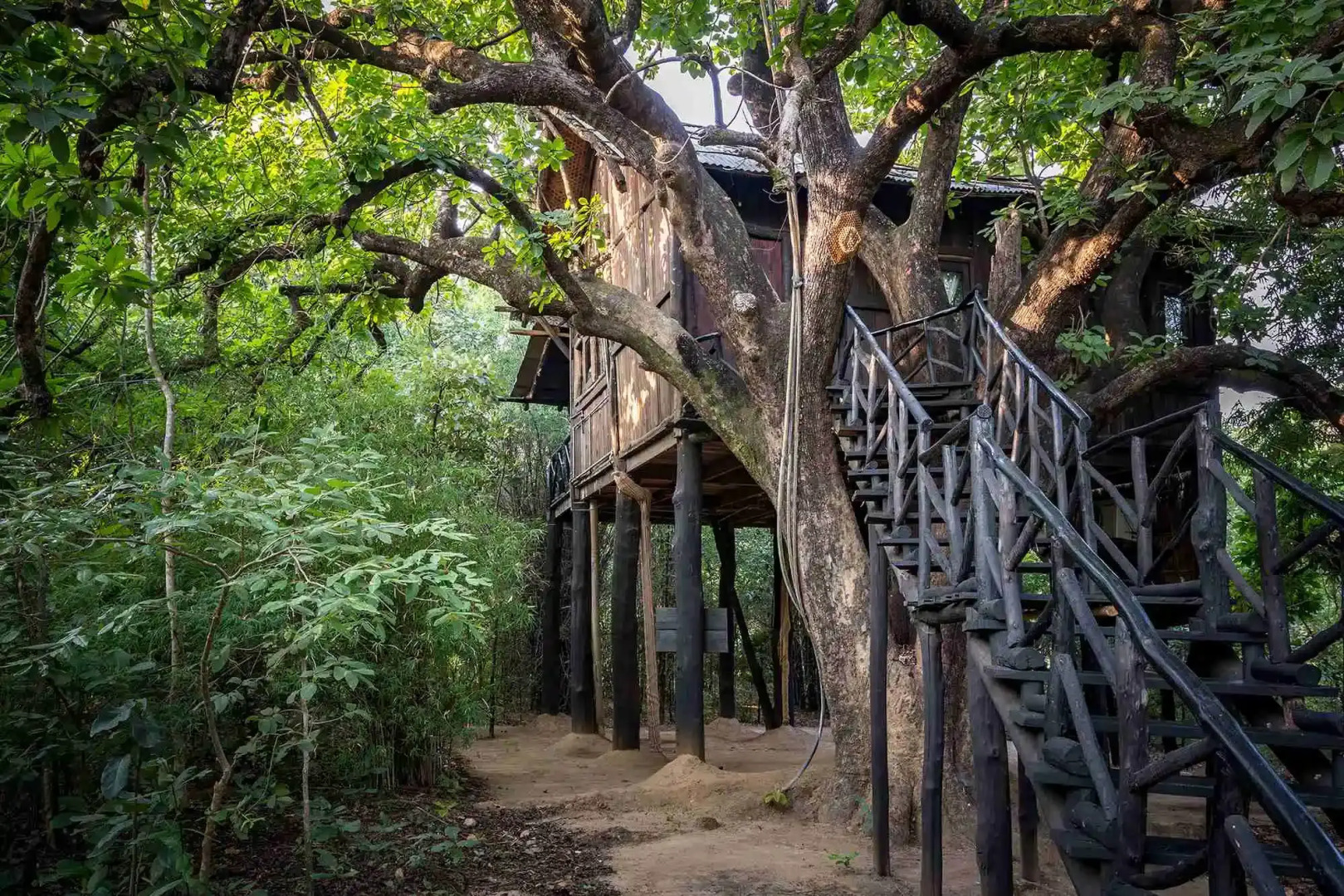 Жилое Помещение Pugdundee Safaris - Tree House Hideway