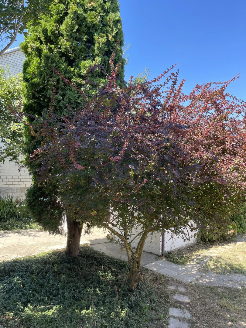 Гостевой дом BlagaHouse15