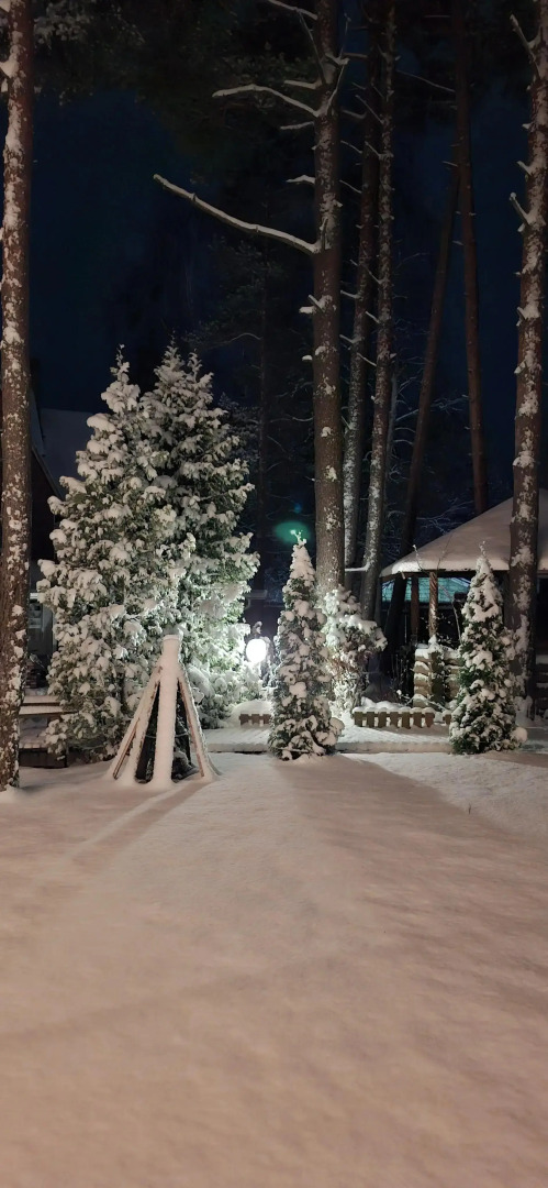 Частный дом в Вязах