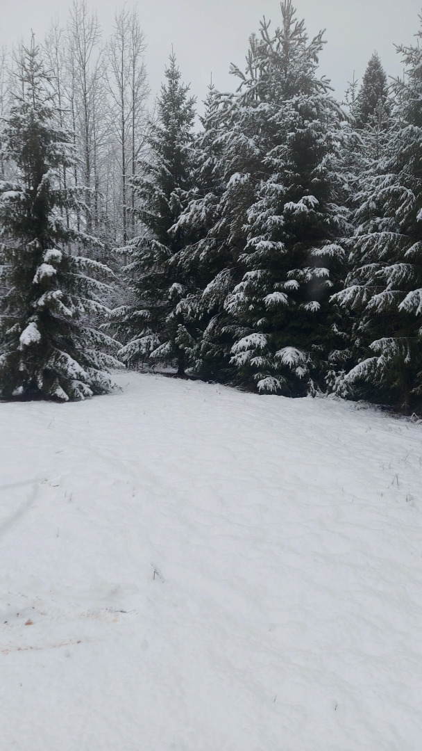 Гостевой дом Терем Морозко