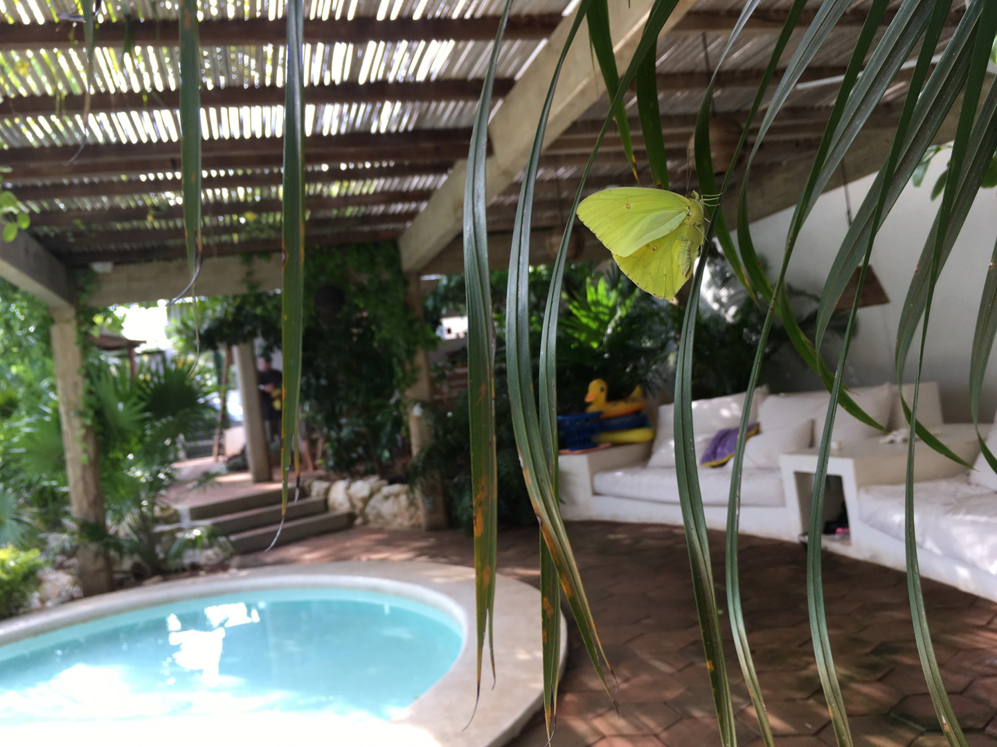 Мини-Отель Villa Maria Puerto Escondido