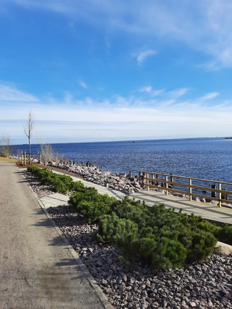 Квартира- студия на Берегу Финского Залива