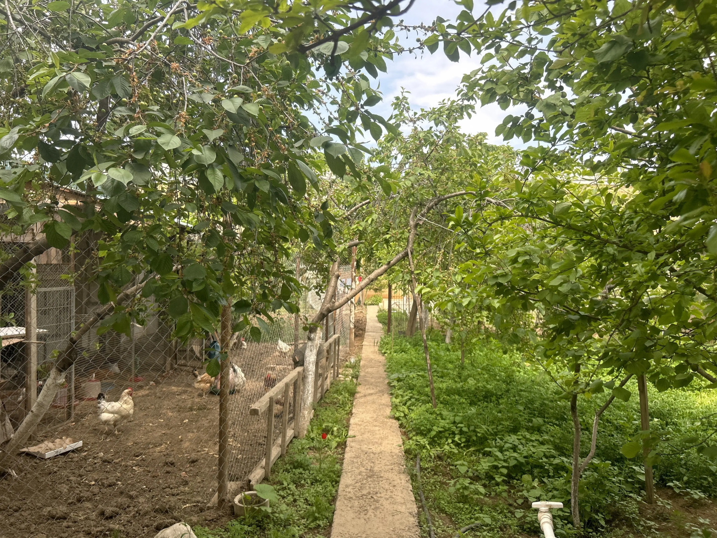 Гостевой дом Дюма 28