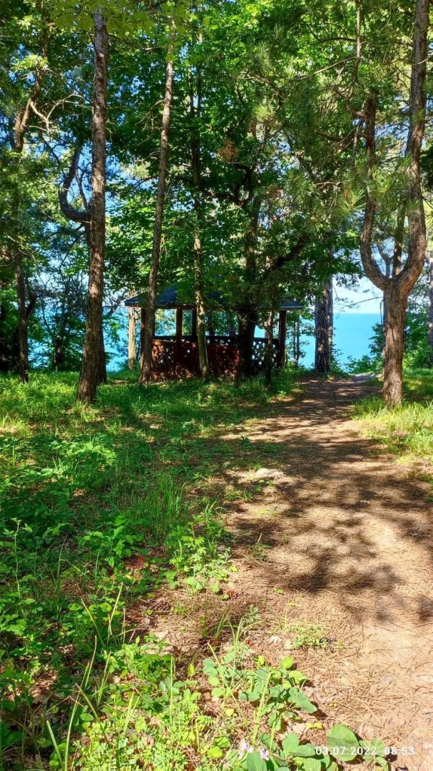 База отдыха Зелёный Бор