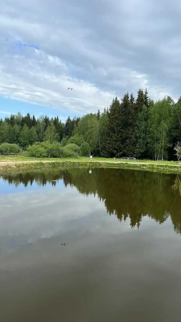 Частный дом в стиле Кантри Фермерские Дачи