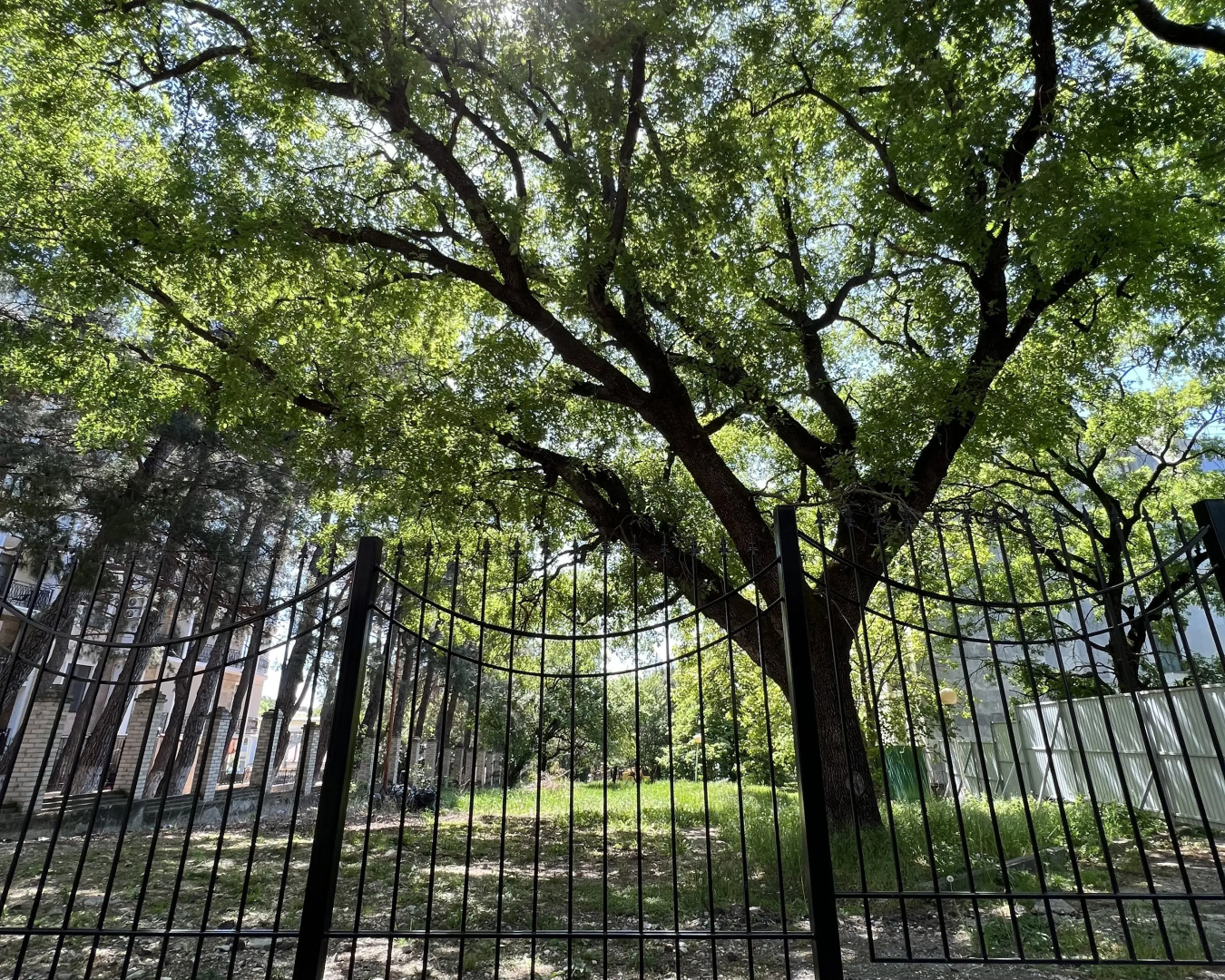 Геленджик Отель