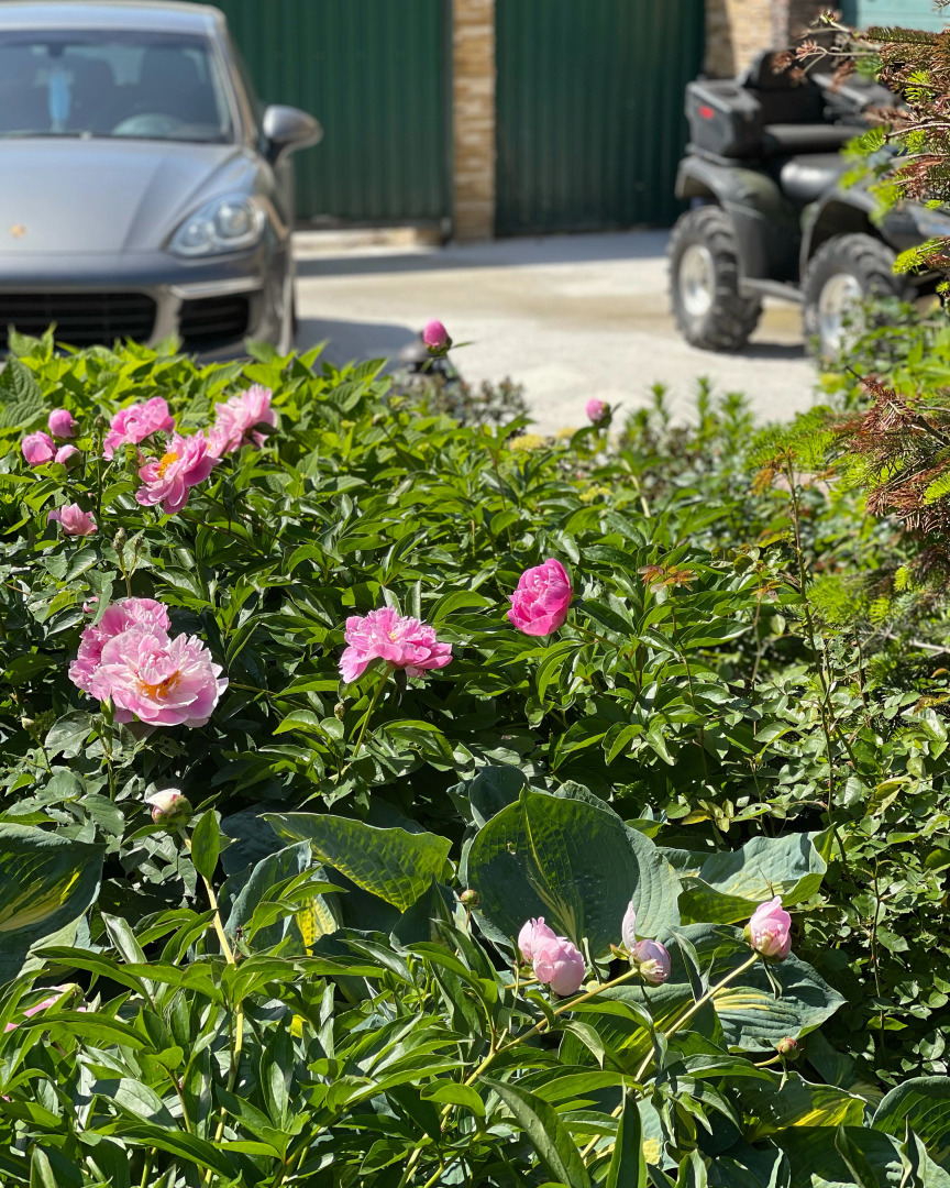 Вилла Lobnya Village