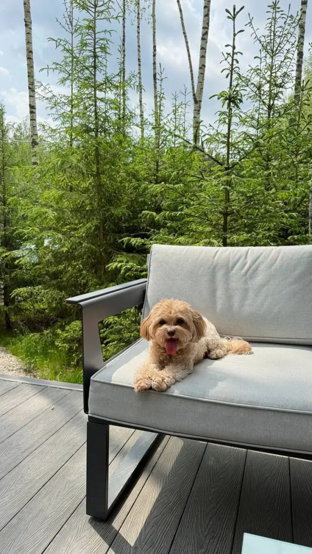 Частный Дом Панорамный В Лесу С Сауной И Чаном