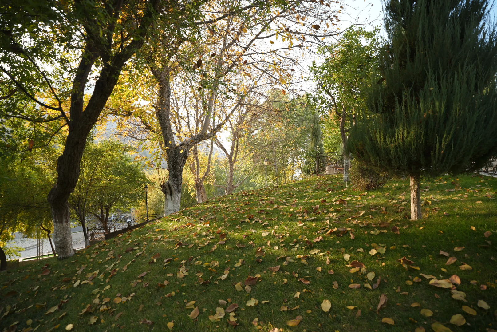 Wellmore Resort Hotel Charvak