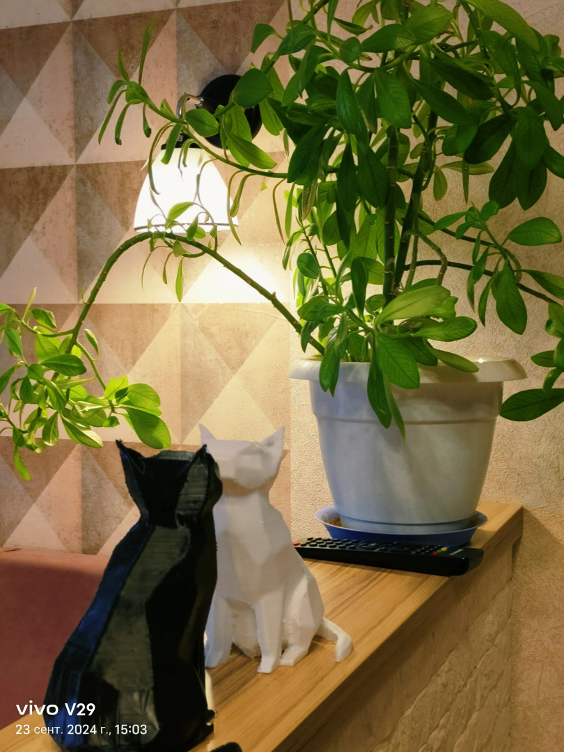 Квартира-студия в центре Воронежа