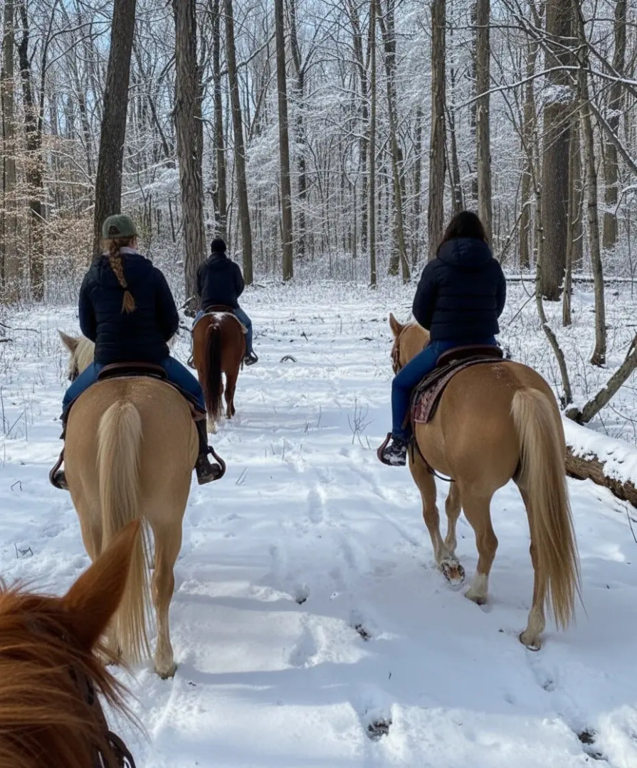 Гостевой дом Бэмби Лэнд