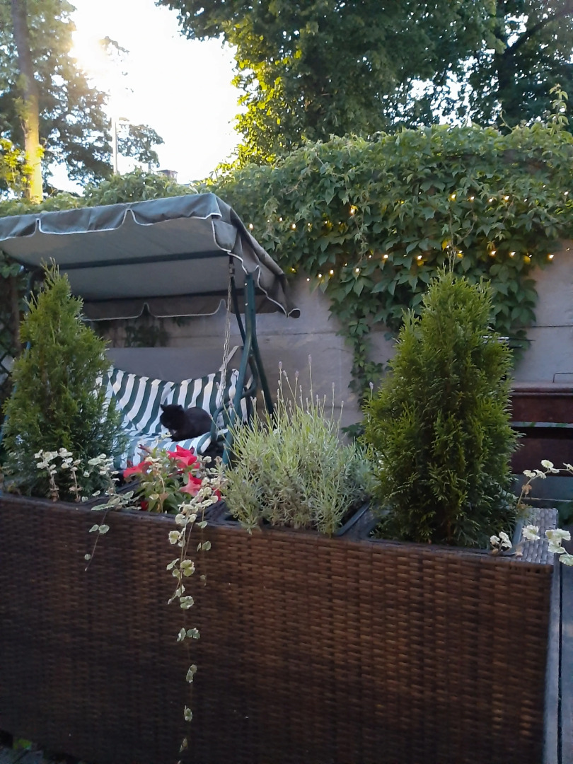 Гостевой дом Листья Травы