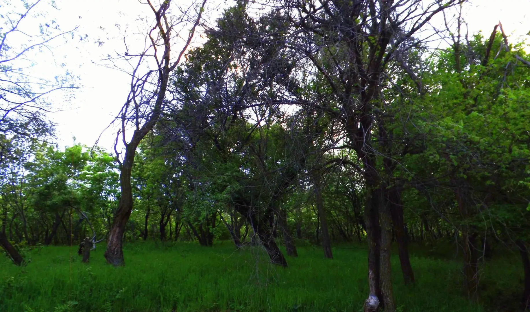 Гостевой Дом Вишневый сад