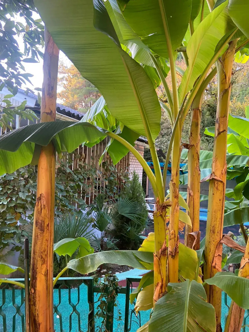 Гостевой Дом Ника