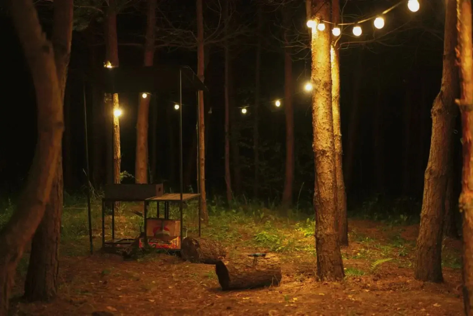 Глэмпинг Дача Хвоя