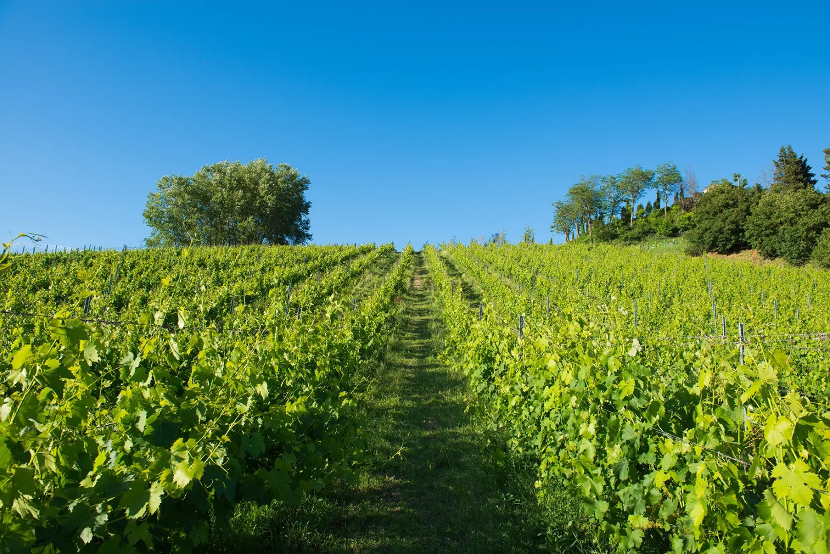 Отель Relai Sassa al Sole