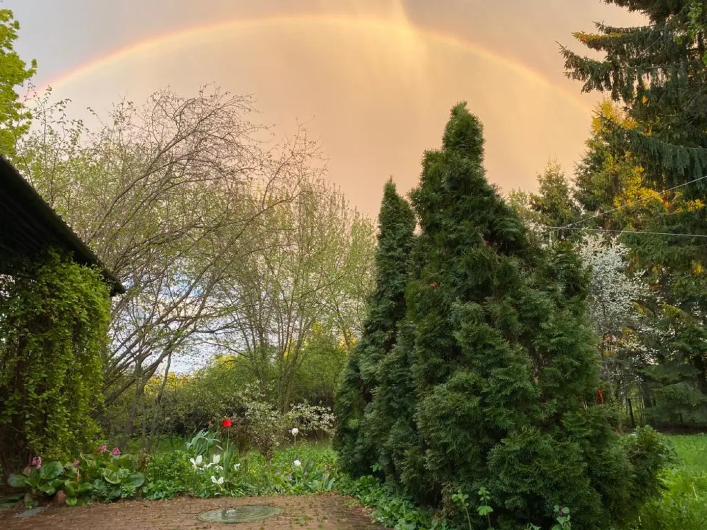 Гостевой Дом Лесная Дача