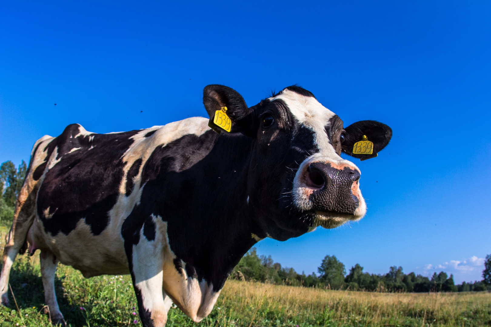 База отдыха Яркое