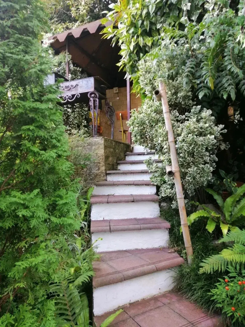 Гостевой дом Эвкалипт