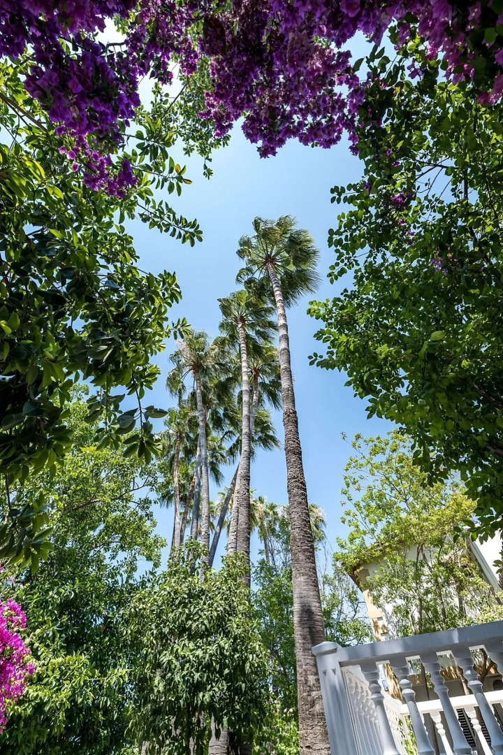 Отель Riverside Garden resort